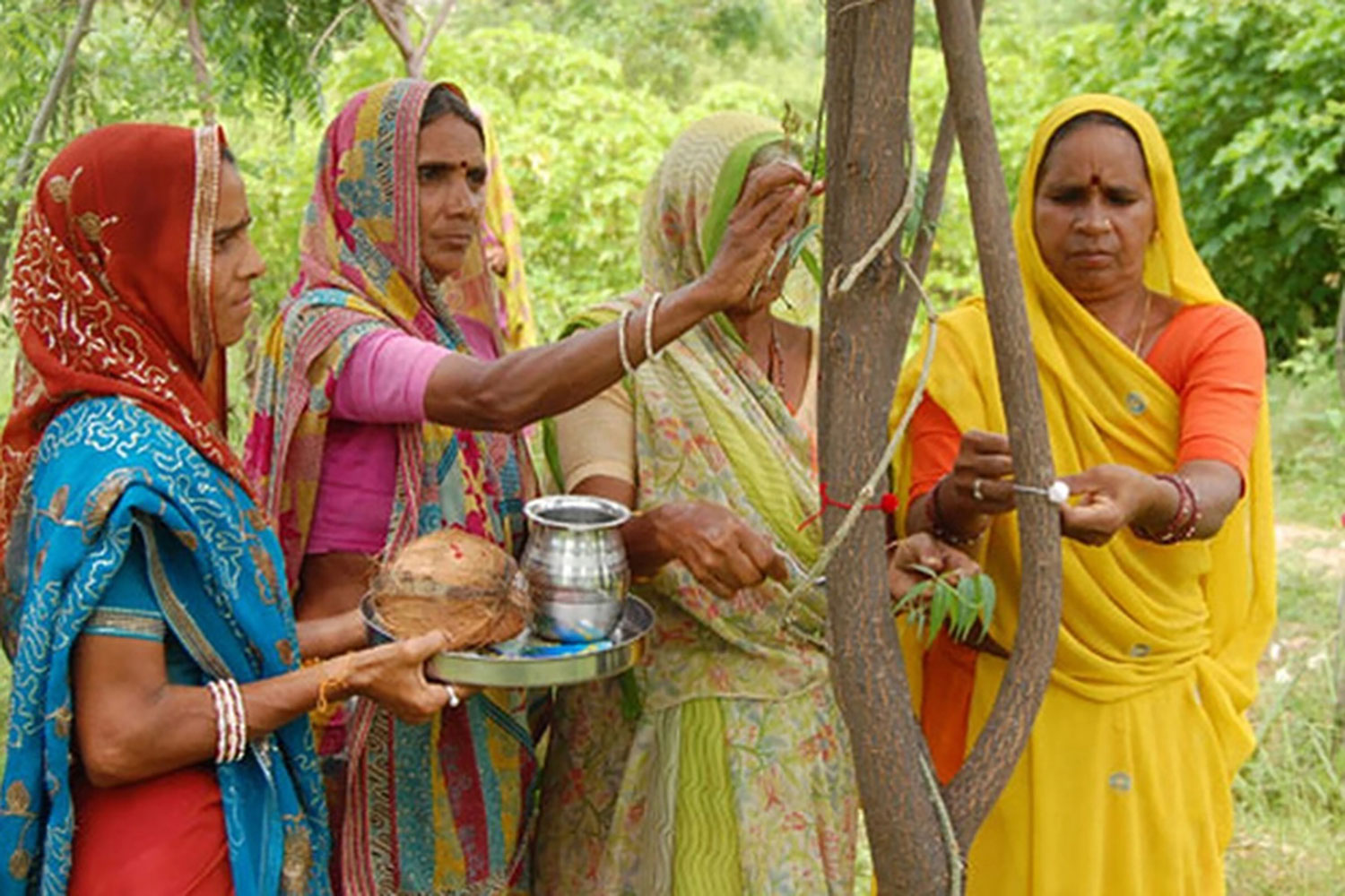 Empat orang perempuan India dewasa mengelilingi sebuah pohon, salah satunya membawa nampan berisi bejana logam dan sabut kelapa, perempuan di sebelahnya menggoreskan cairan pewarna ke pohon.