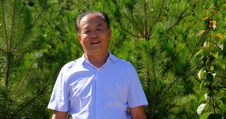 Zhang Junping seperti dilansir China Daily, berdiri di antara pohon pinus di Taman Hutan Gunung Yuquan pada 19 Juli 2020 | Foto oleh Yang Xiaoyu / chinadaily.com.cn