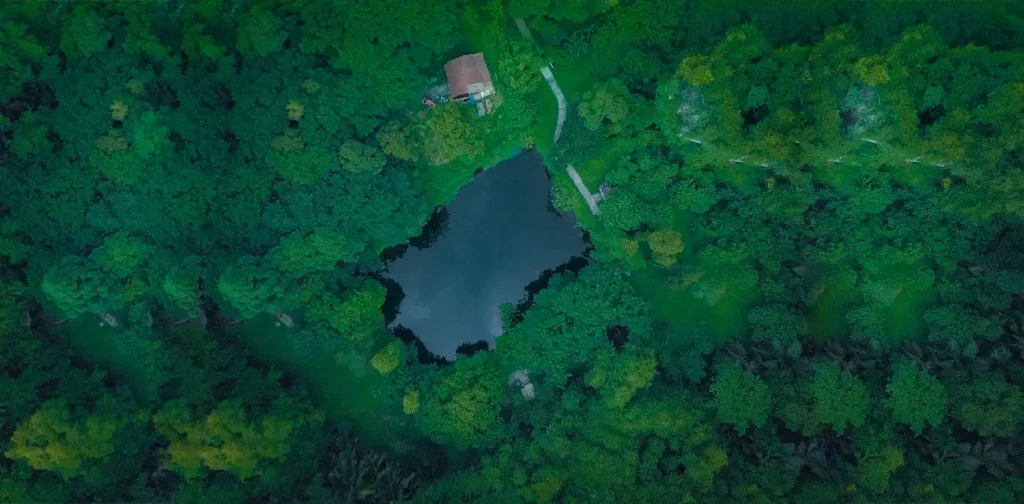 Danau yang dikelilingi oleh hutan dipotret dari atas udara.