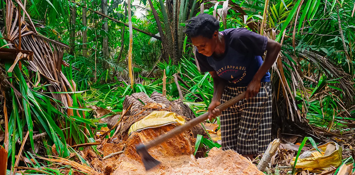 Seorang perempuan membelah batang pohon sagu dengan kapak di sela-sela survei dan pemetaan potensi energi terbarukan untuk pengolahan sagu, kerjasama GAWIREA dengan Wani Yinio di Mappi, Papua. 