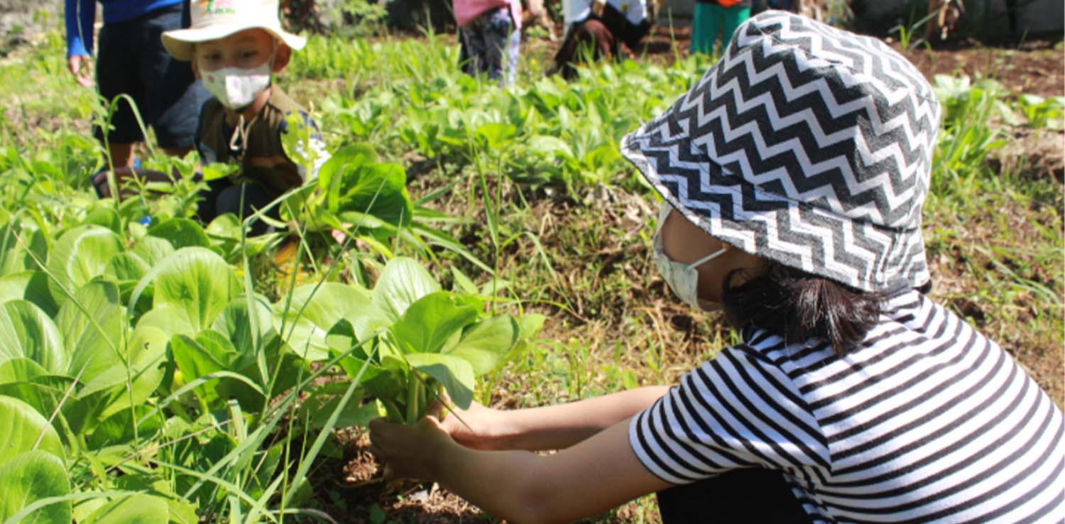 Siswa sekolah belajar berkebun di kebun Seni Tani.