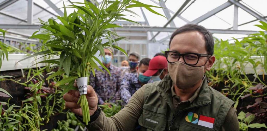 Wali Kota Bogor Bima Arya menunjukkan kangkung organik hasil gerakan Bogor Berkebun.