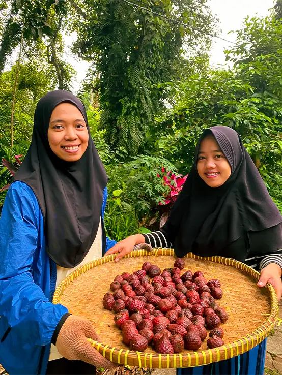Para perempuan yang bekerja sama dengan Kalara Borneo menunjukkan buah asam maram di atas tampah.