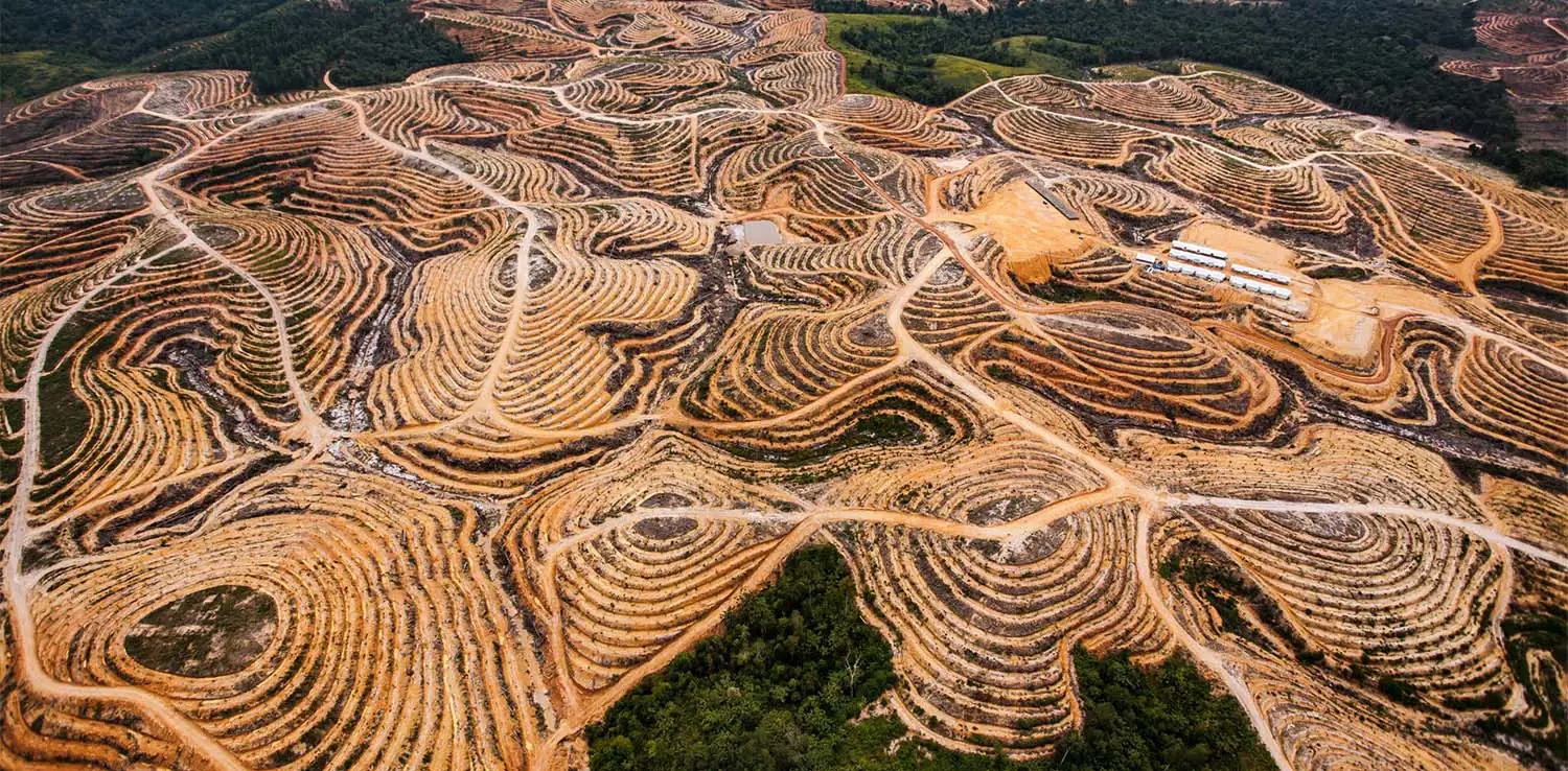 Pembukaan lahan di habitat orangutan untuk perkebunan di Kotawaringin Timur, Kalimantan Tengah pada 2014.