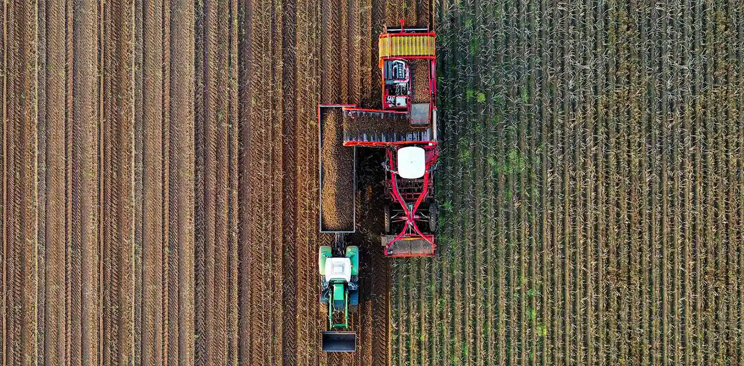 Foto udara dua truk di tengah ladang perkebunan.