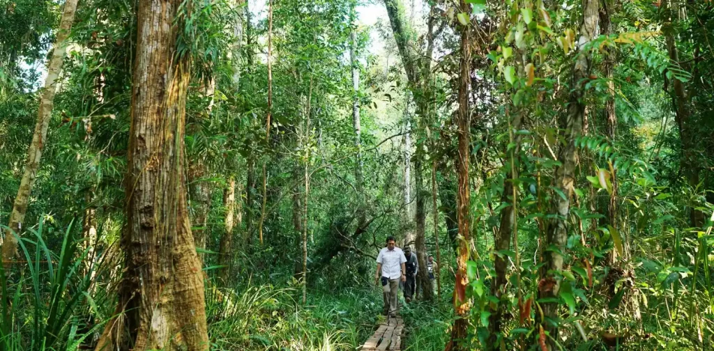 Konservasi dan restorasi lahan gambut tropis di katingan-mentaya, Indonesia