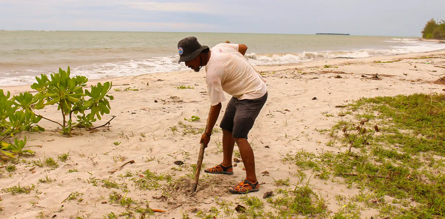 Damai mendrofa saat menanam bibit pohon cemara laut di kawasan Konservasi Penyu Pantai Bandang (KKP2B) di Desa Rawa Makmur, Kecamatan Kolang, Tapanuli Tengah tahun 2021. | Foto: Dokumen pribadi Damai Mendrofa.