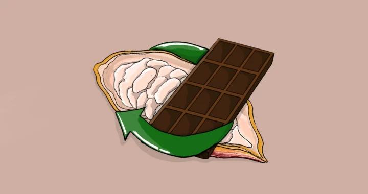 Ilustrasi buah kakao dan sebatang coklat dengan panah hijau melingkar