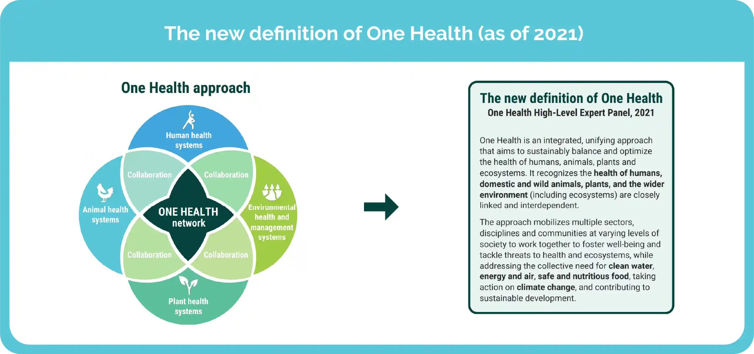 diagram dan definisi kesehatan yang menghubungkan kesehatan manusia, hewan, tumbuhan, dan lingkungan.