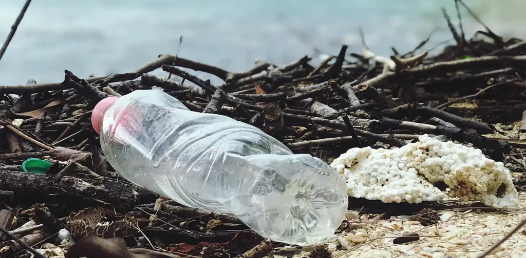 sampah botol plastik tergeletak di antara potongan ranting di tepi sungai