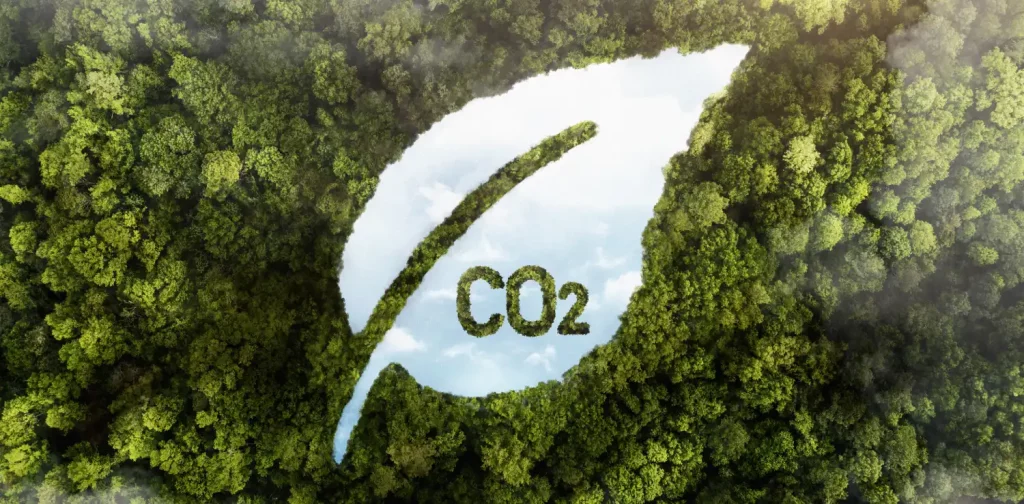 foto aerial sebuah hutan dengan ilustrasi berbentuk daun dengan tulisan CO2 di tengahnya