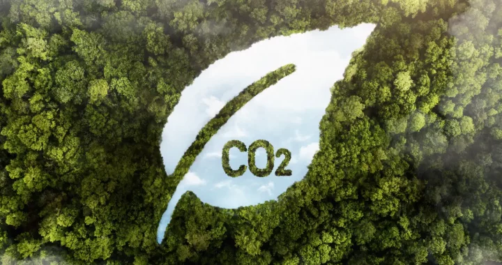 foto aerial sebuah hutan dengan ilustrasi berbentuk daun dengan tulisan CO2 di tengahnya
