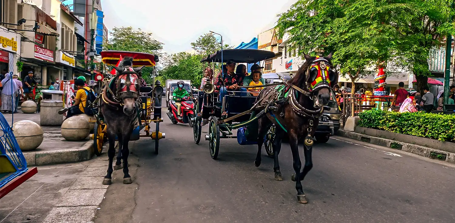 dua ekor kuda andong dengan penutup wajah membawa penumpang di jalan.