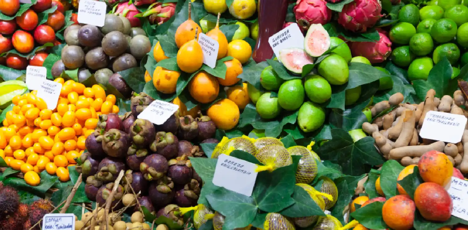 buah-buahan dan sayuran tropis terdiri dari manggis, kelengkeng, markisa, jeruk nipis, asam jawa, tomat, buah naga dan jeruk.