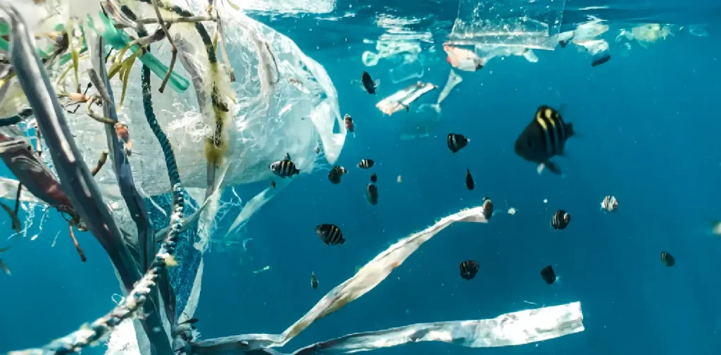 sekelompok ikan berenang di tengah laut yang dipenuhi plastik