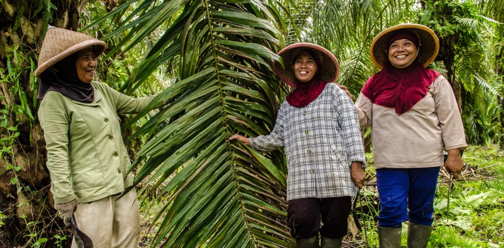 tiga perempuan bertopi anyaman di kebun sawit