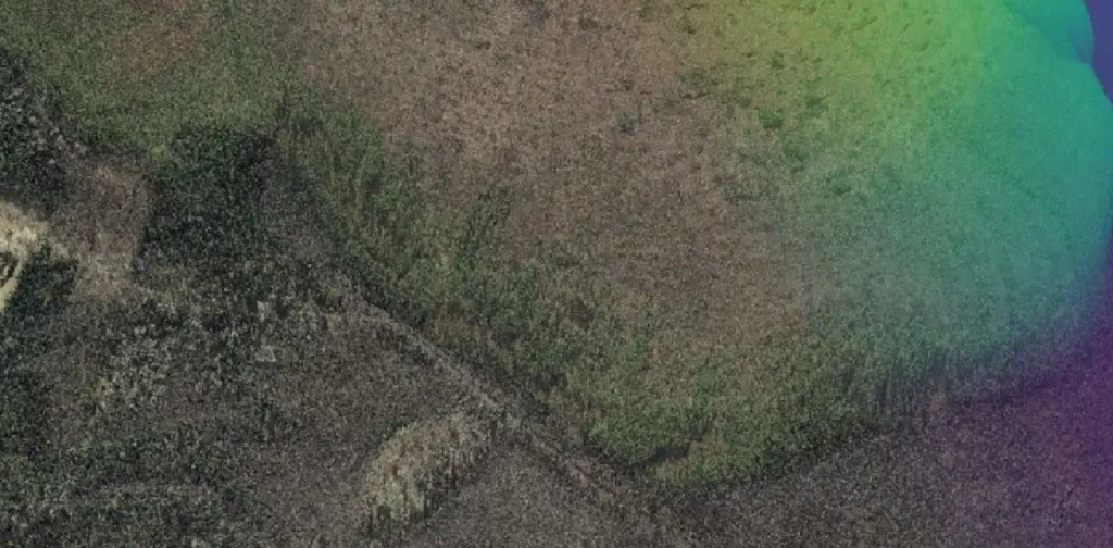 foto satelit dari area rawa gambut