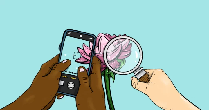 ilustrasi telepon dan kaca pembesar yang menyorot sekuntum bunga