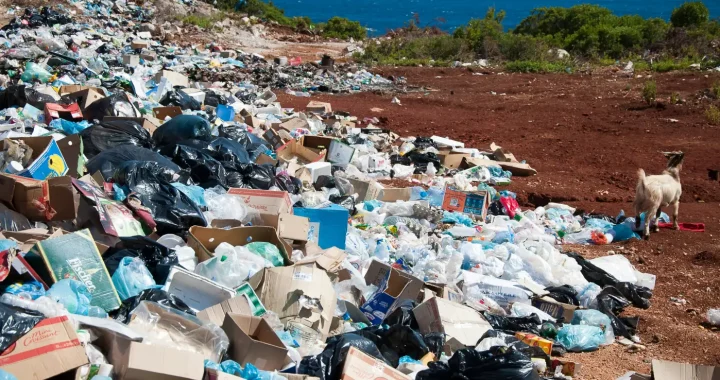 tempat pembuangan sampah yang berisi botol plastik, kardus, dan kantong plastik