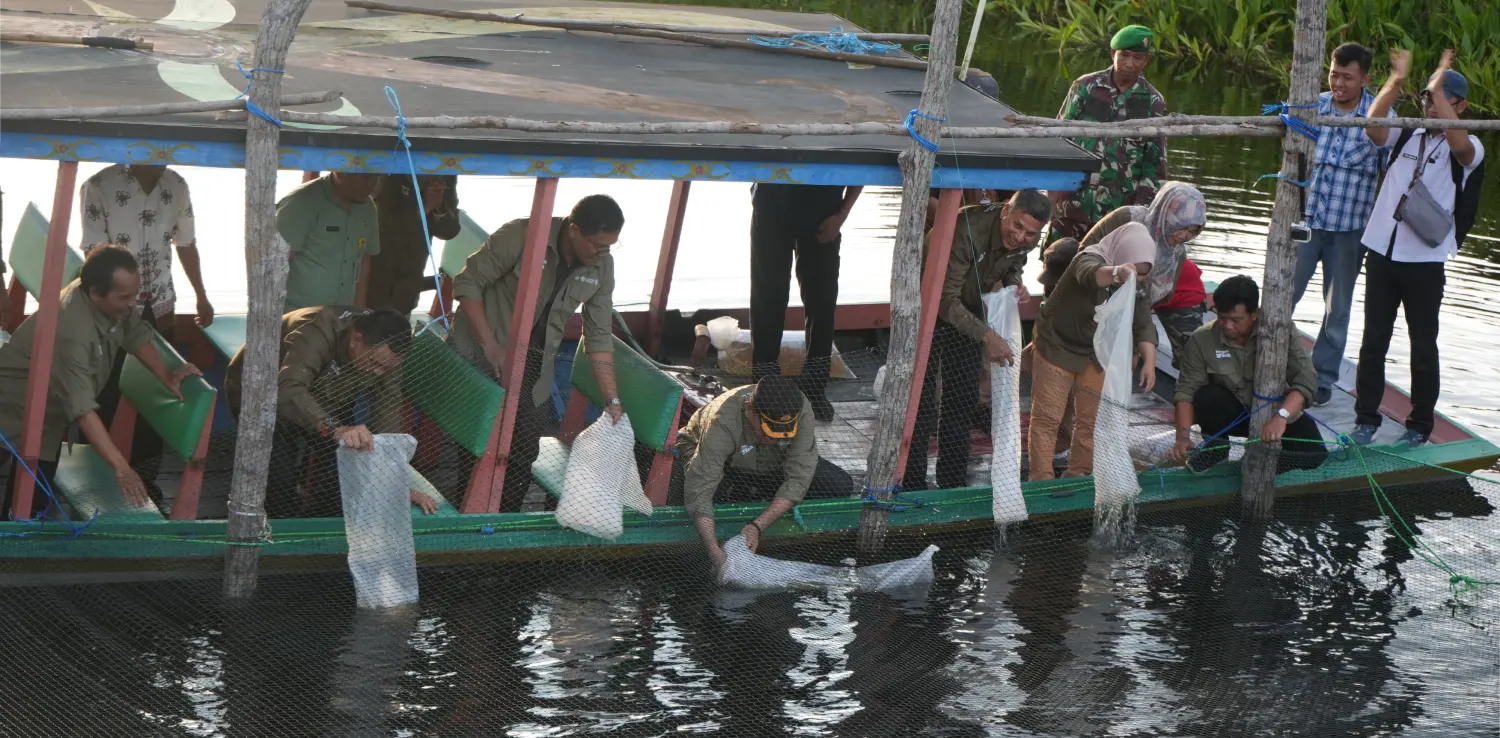 sejumlah orang melepaskan ikan ke perairan dari atas sampan