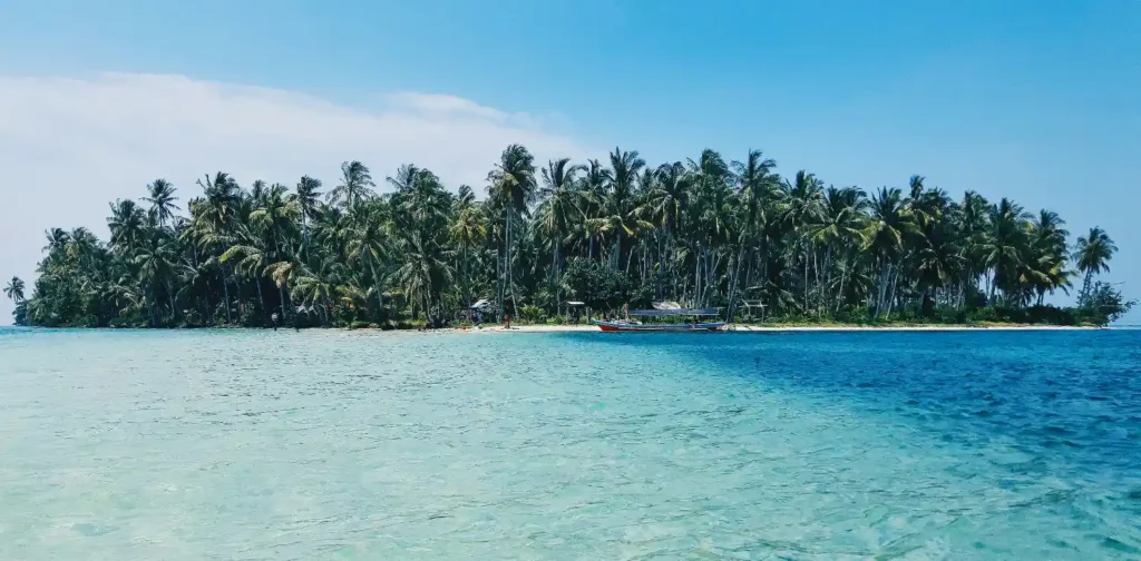 pepohonan kelapa di sebuah pulau kecil dengan perairan biru dan langit biru