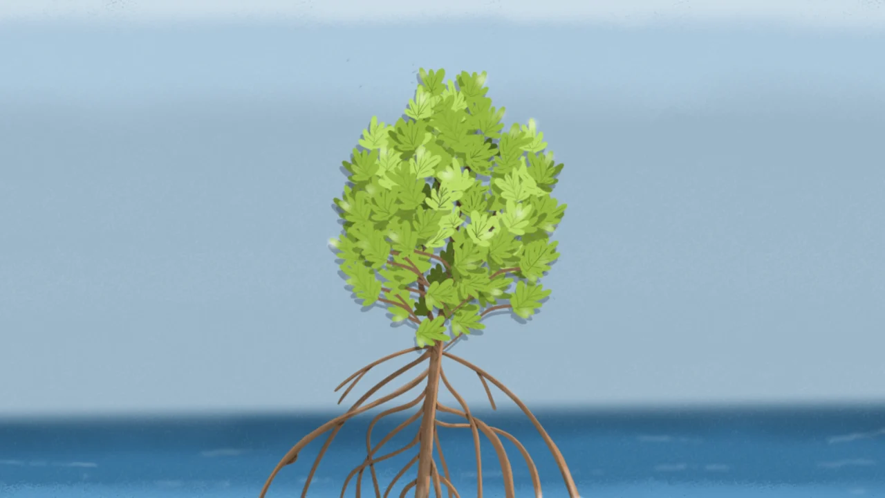 Ilustrasi pohon mangrove