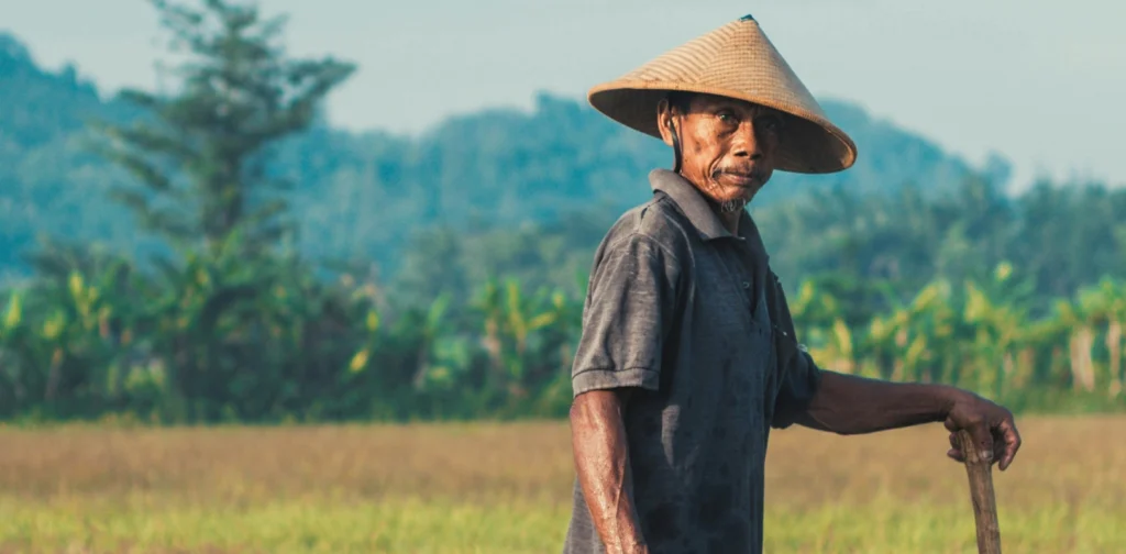 seorang petani memakai topi bundar berdiri di tengah sawah