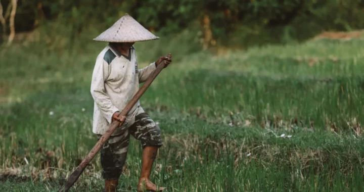 seorang lelaki menggunakan caping dan memegang cangkul berdiri di tanah berumput