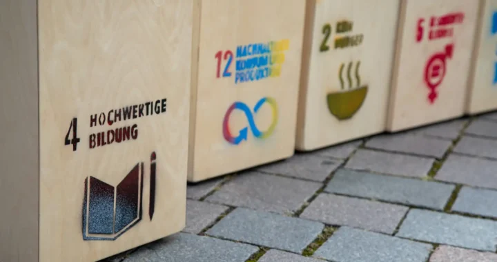 boxes with sdg logo