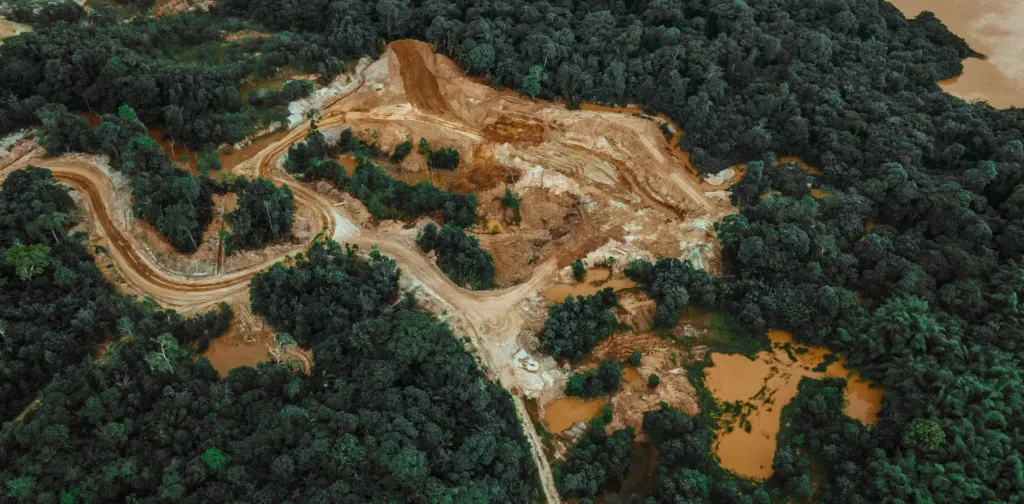 pemandangan udara hutan yang gundul di bagian tengah