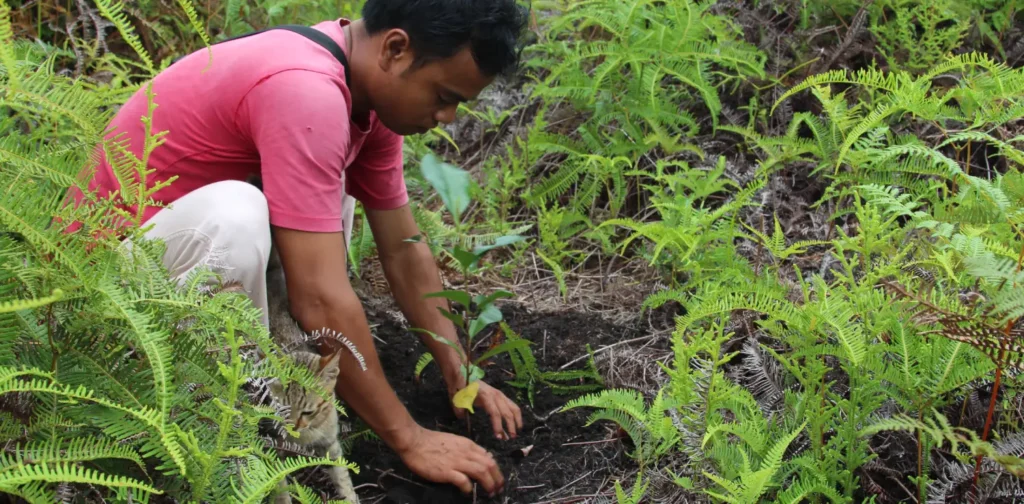 laki-laki berbaju merah menanam pohon