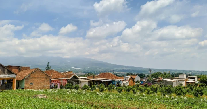 deretan rumah kecil dengan pemandangan gunung dan hamparan kebun hijau