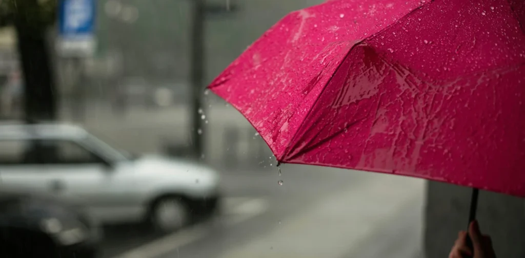 a person holding a pink umbrella