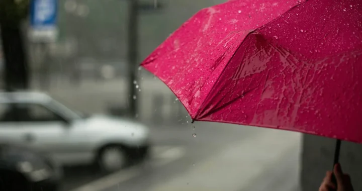 a person holding a pink umbrella