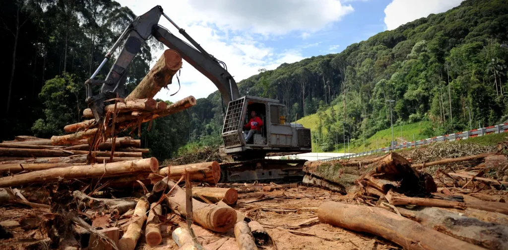 sebuah alat berat mengangkat potongan-potongan kayu besar di dekat hutan