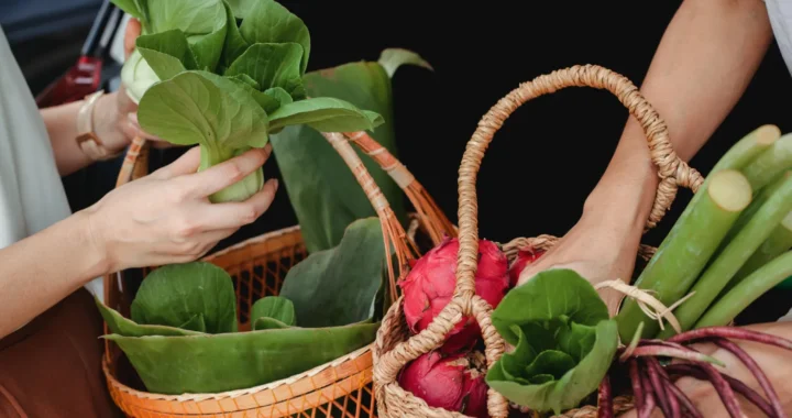 keranjang belanja berisi sayur sawi pakcoy dan buah naga