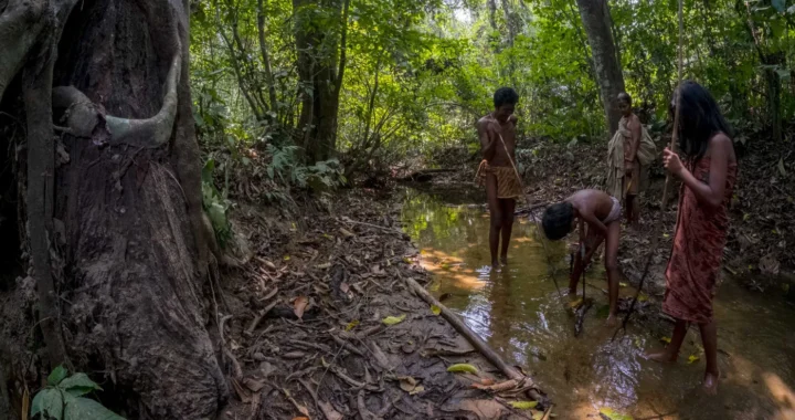 empat orang Suku Anak Dalam yang berada di sungai kecil dalam hutan