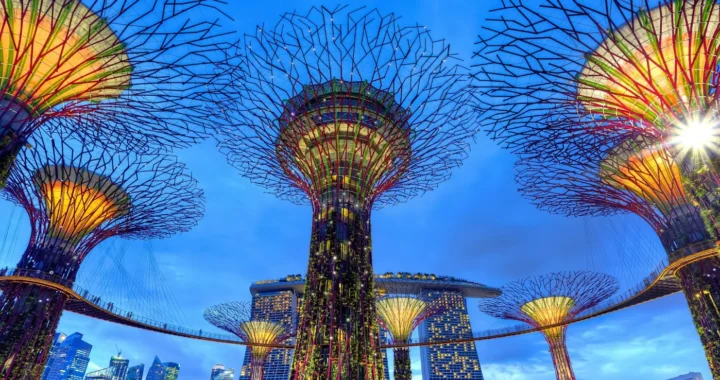 taman di tepi teluk singapura, terdiri dari delapan pilar tinggi, dipotret dari angle frog