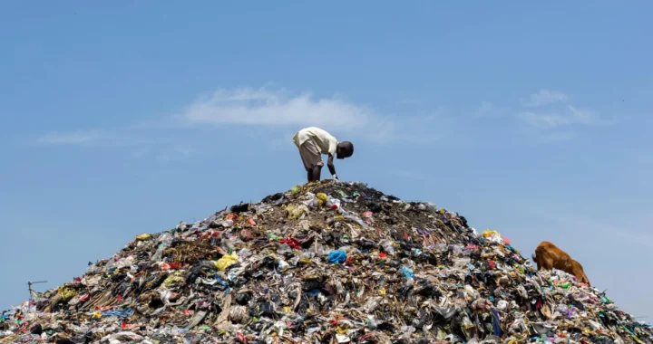 seorang pria di atas tumpukan sampah