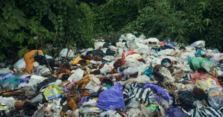 tumpukan sampah dalam plastik di dekat semak-semak pepohonan