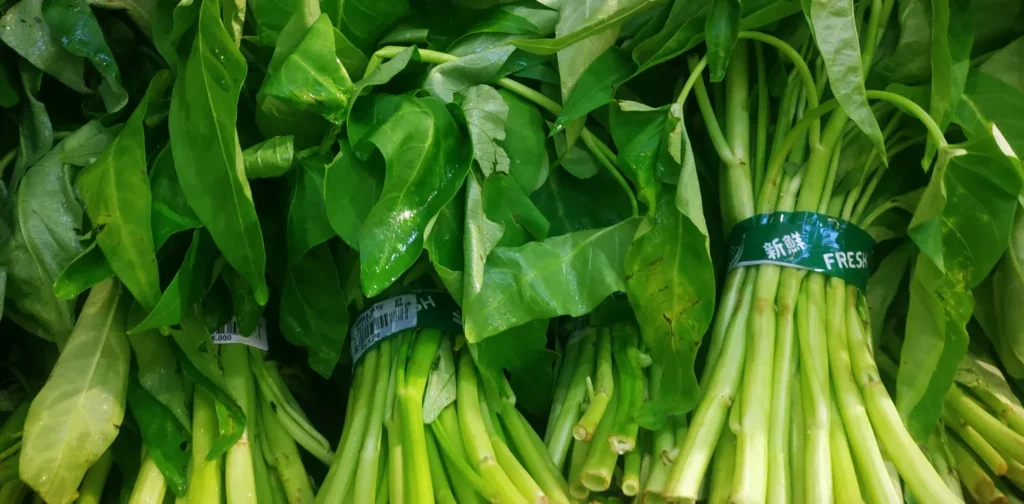 beberapa ikat kangkung segar