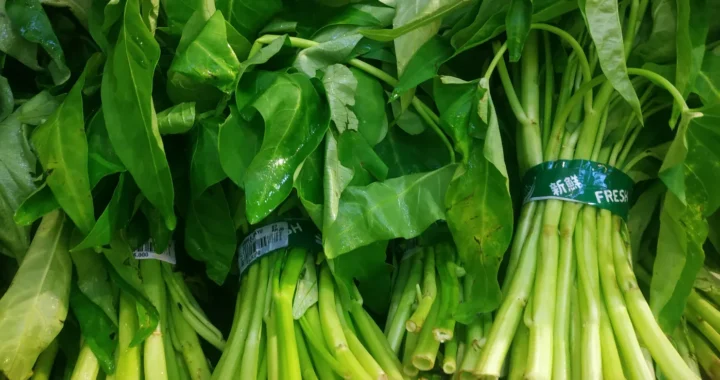 beberapa ikat kangkung segar