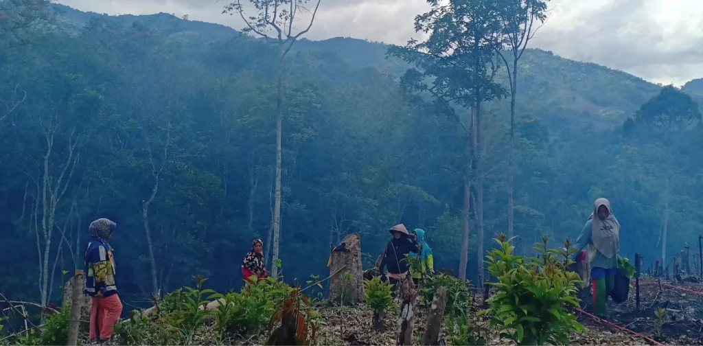 beberapa perempuan di kawasan hutan