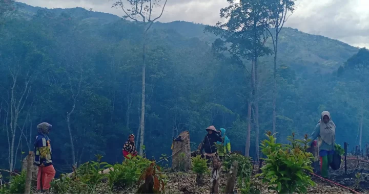 beberapa perempuan di kawasan hutan