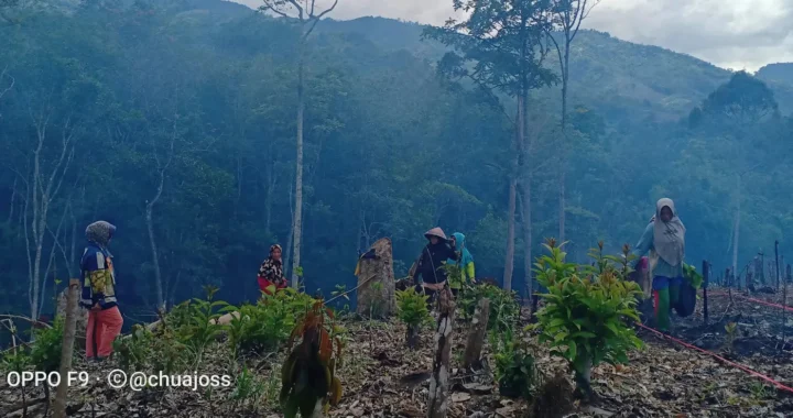 beberapa perempuan di kawasan hutan