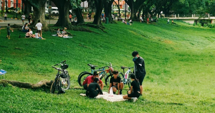 sekelompok orang sedang piknik di taman