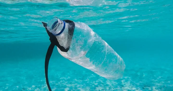 botol plastik yang mengapung di dalam air