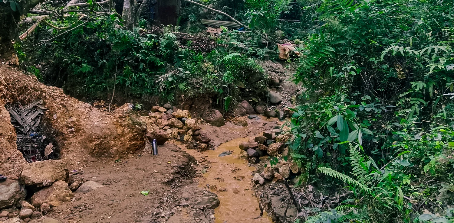jalanan berlongsor di tengah hutan