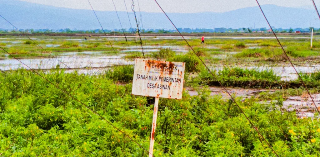 papan bertuliskan tanah milik pemerintah desa asinan yang ditancapkan di tepi rawa pening