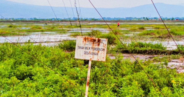 papan bertuliskan tanah milik pemerintah desa asinan yang ditancapkan di tepi rawa pening